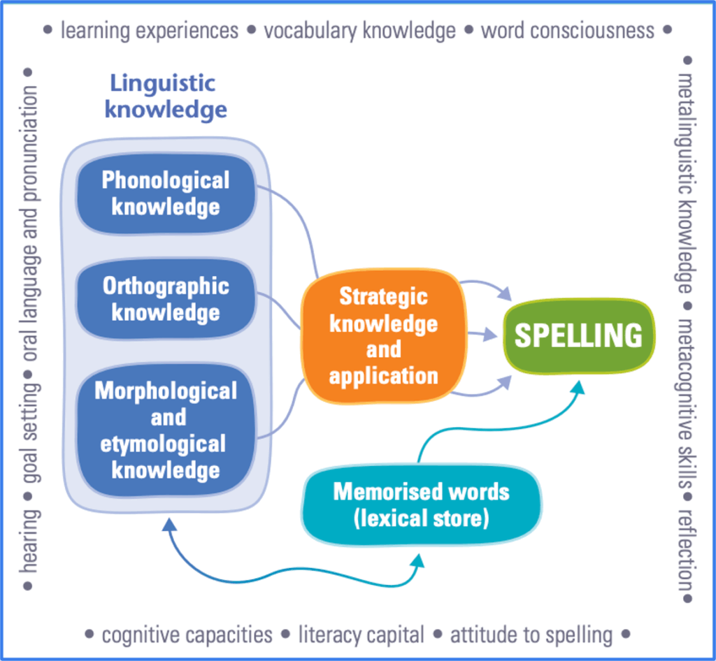 An image that shows the key elements to becoming an effective speller from Oakley & Fellowes (2016, p.26)