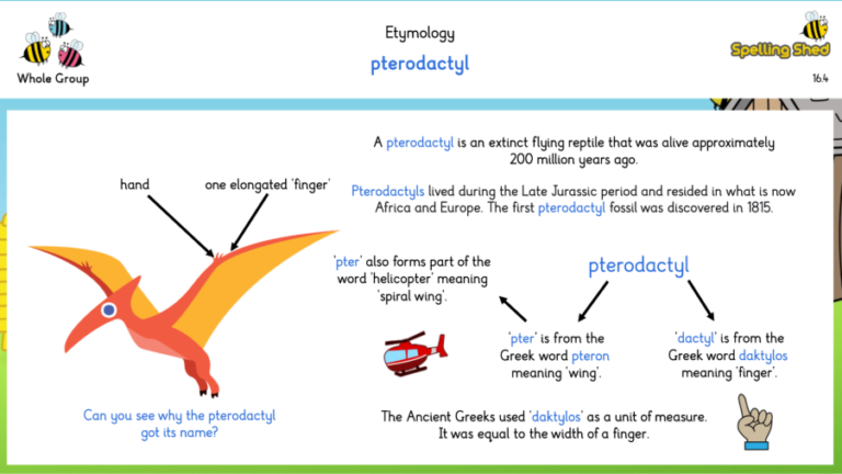 How to Teach Spelling Effectively – Part Four: Morphology and Etymology ...